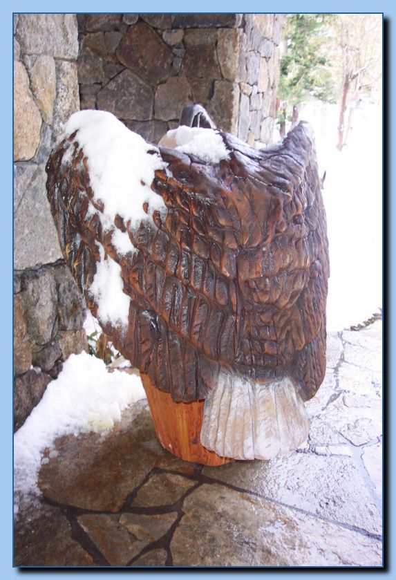 2-12 eagle  perched, half-spread wings-archive-0002